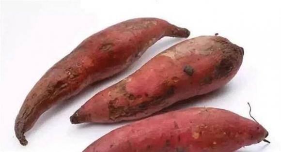 thực phẩm an toàn, thực phẩm độc hại