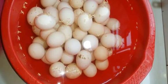 thực phẩm an toàn, thực phẩm độc hại